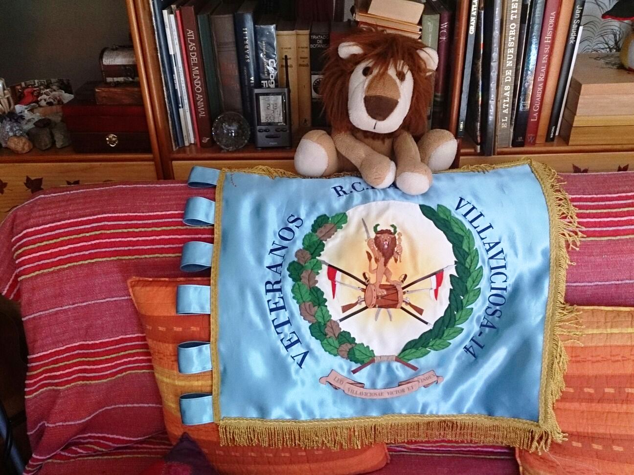 GUIÓN VETERANOS (4)